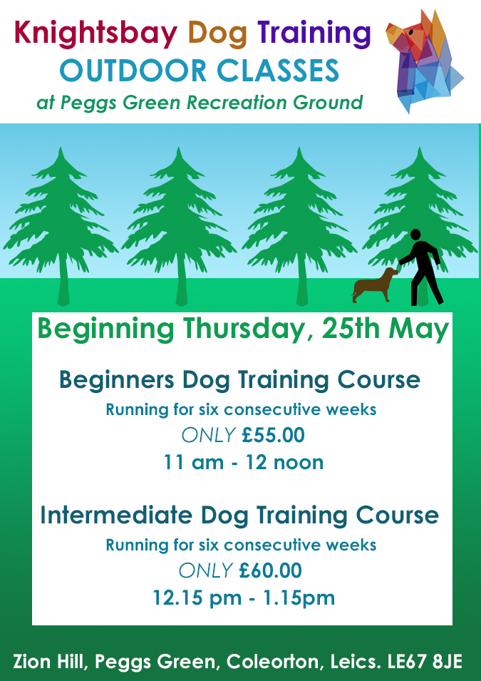 Daytime Dog Obedience Training Classes Knightsbay Dog Training