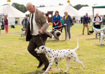 Andrew Pratt and Odin, the Dalmatian