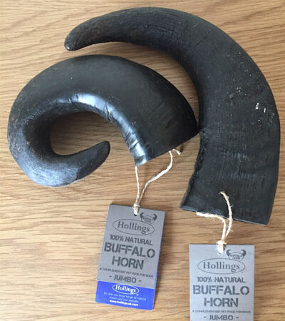 Buffalo Horn (Jumbo)