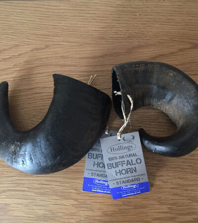 Buffalo Horns (standard)