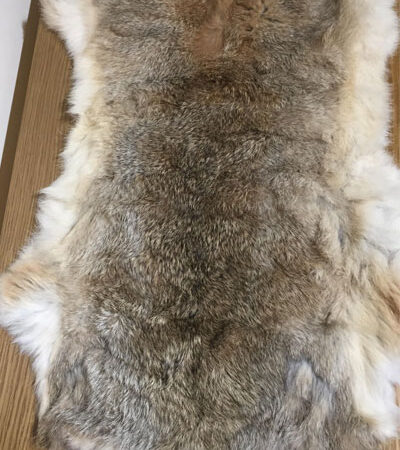 Cured Rabbit Skins