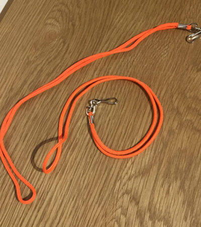Lanyard