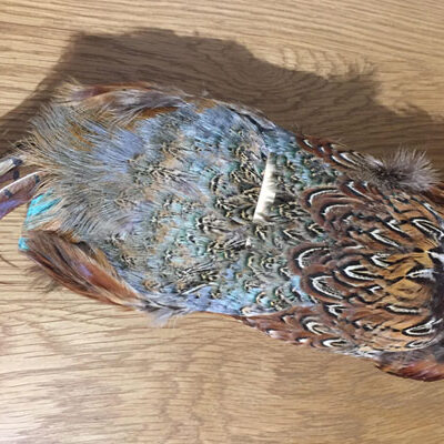 Pheasant Dummy